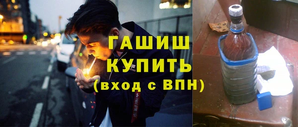 дмт Богданович