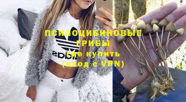 дмт Богданович