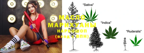 дмт Богданович