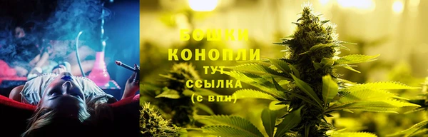 дмт Богданович