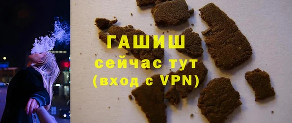 дмт Богданович