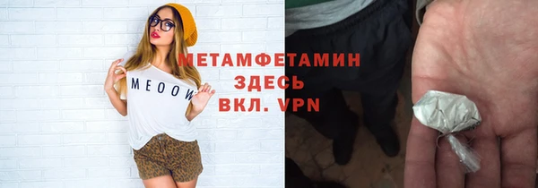 дмт Богданович