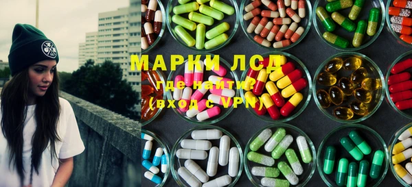 дмт Богданович