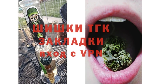 дмт Богданович