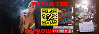 шишки Новодвинск