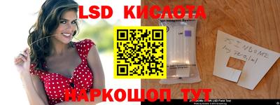 шишки Новодвинск