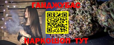 шишки Новодвинск