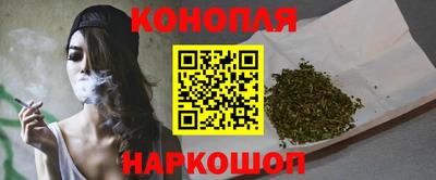 шишки Новодвинск