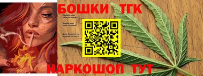 шишки Новодвинск