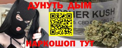 шишки Новодвинск