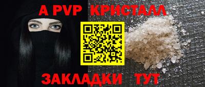 шишки Новодвинск