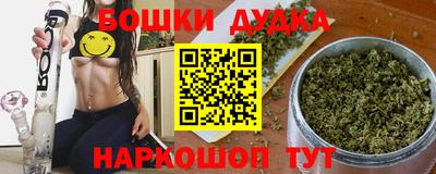 шишки Новодвинск