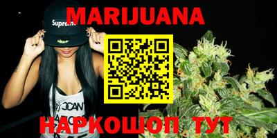 шишки Новодвинск