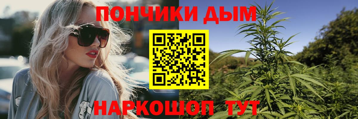 Реж  МАРИХУАНА ГИДРОПОН  Бошки марихуана сатива  Каннабис сатива  Вход с VPN 